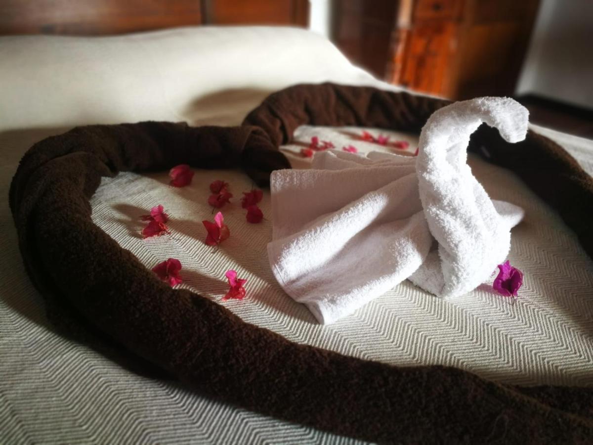 Cecilio Bed and breakfast Tefía