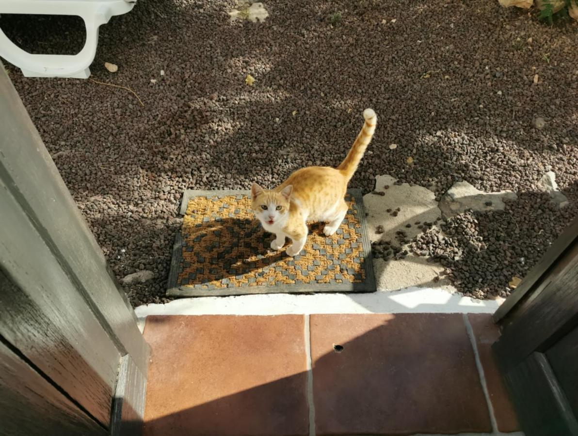 Cecilio Frühstückspension